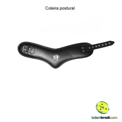 Coleira postural