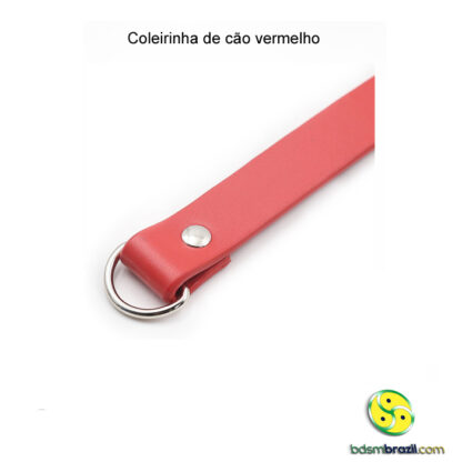 Coleirinha de cão vermelho - Image 3