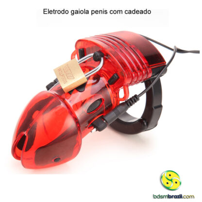 Eletrodo gaiola penis com cadeado - Image 2