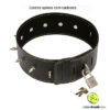 Coleira spikes com cadeado - Image 2