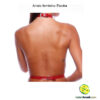 Arreio feminino Electra - Imagem 3