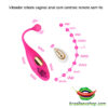 Vibrador clitoris vaginal anal com controle remoto sem fio - Imagem 3