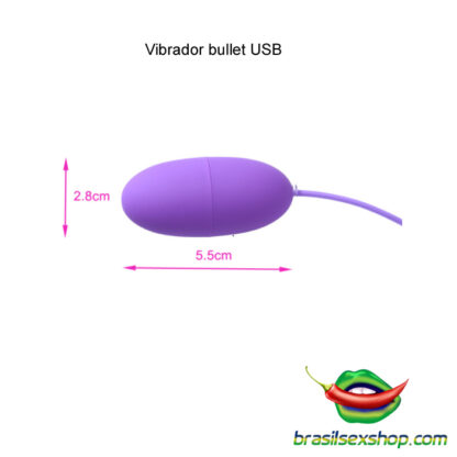 Vibrador bullet USB