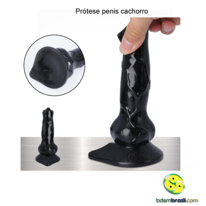 Prótese penis cachorro - Image 4