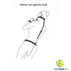 Harnes com gancho anal - Imagem 2