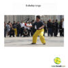 Bullwhip longo - Imagem 2