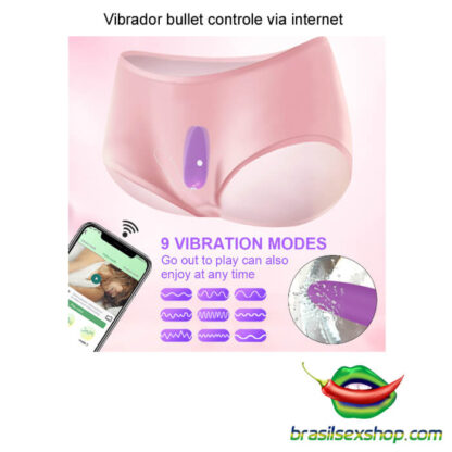 Vibrador bullet controle via internet - Image 3