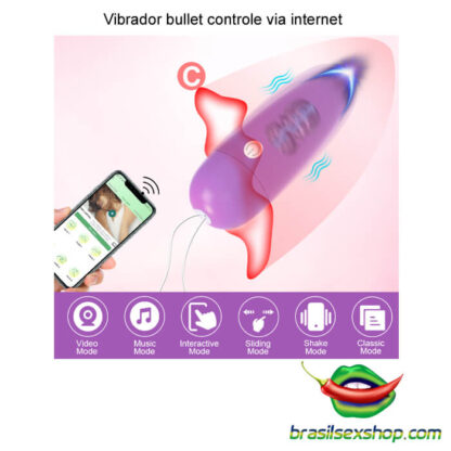 Vibrador bullet controle via internet - Image 5