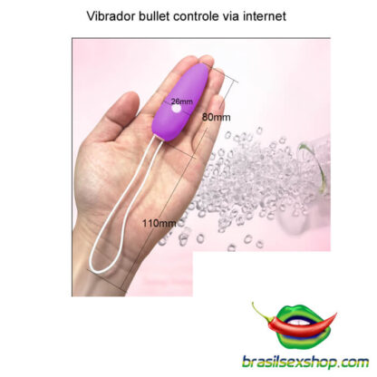 Vibrador bullet controle via internet - Image 6