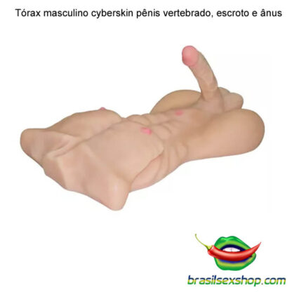 Tórax masculino cyberskin pênis vertebrado, escroto e ânus - Image 3