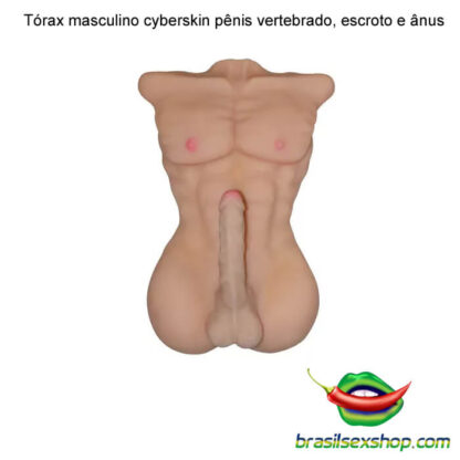 Tórax masculino cyberskin pênis vertebrado, escroto e ânus - Image 4