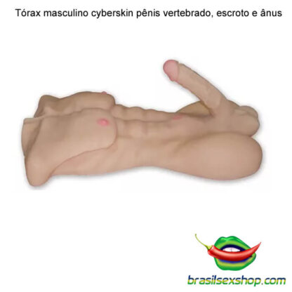 Tórax masculino cyberskin pênis vertebrado, escroto e ânus - Image 6