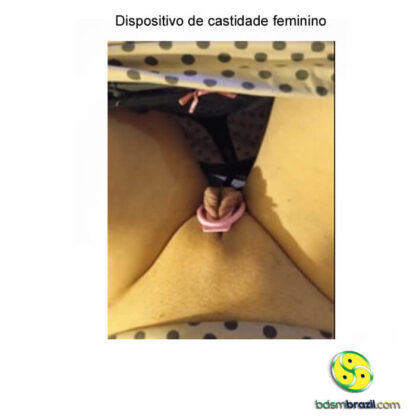 Dispositivo de castidade feminino - Image 3