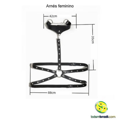 Arnés feminino - Image 4