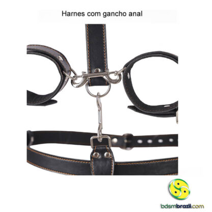 Harnes com gancho anal progressivo - Image 5